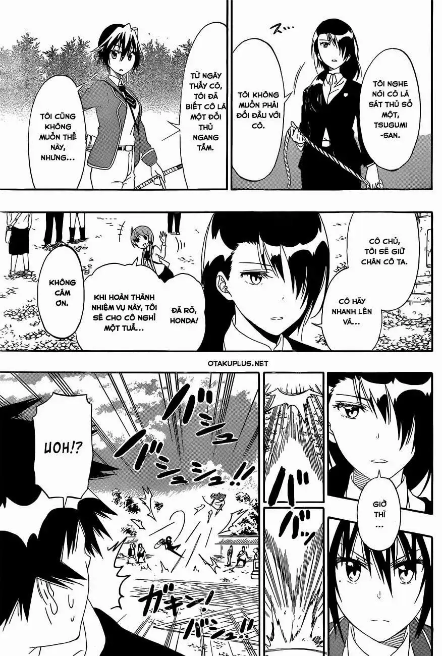 Nisekoi Chapter 155 - Trang 17
