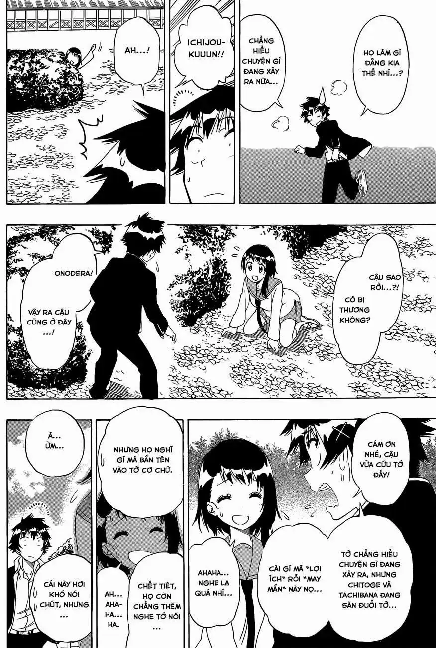 Nisekoi Chapter 155 - Trang 18