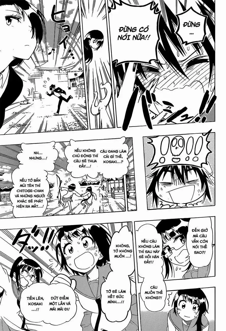 Nisekoi Chapter 156 - Trang 11