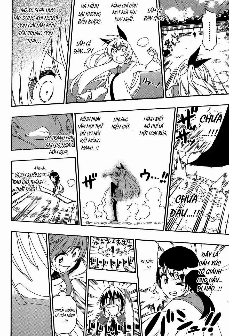Nisekoi Chapter 156 - Trang 12
