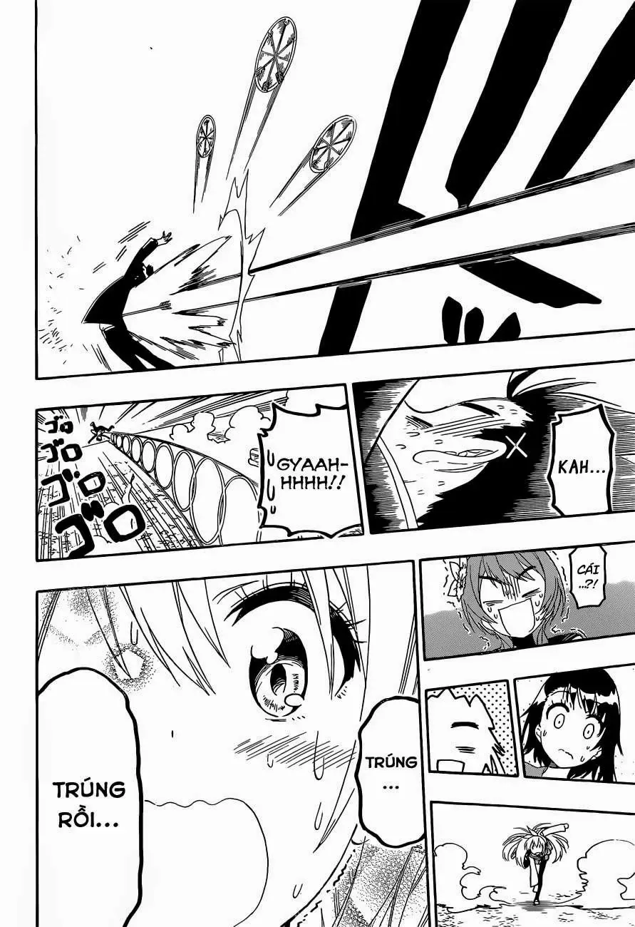 Nisekoi Chapter 156 - Trang 14