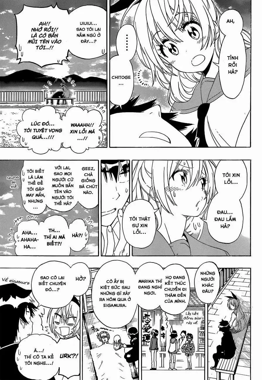 Nisekoi Chapter 156 - Trang 17