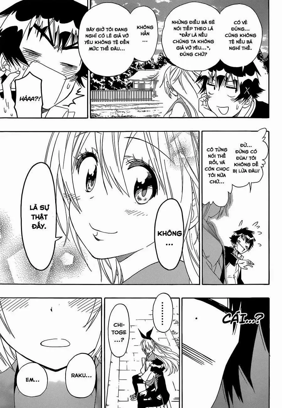 Nisekoi Chapter 156 - Trang 19