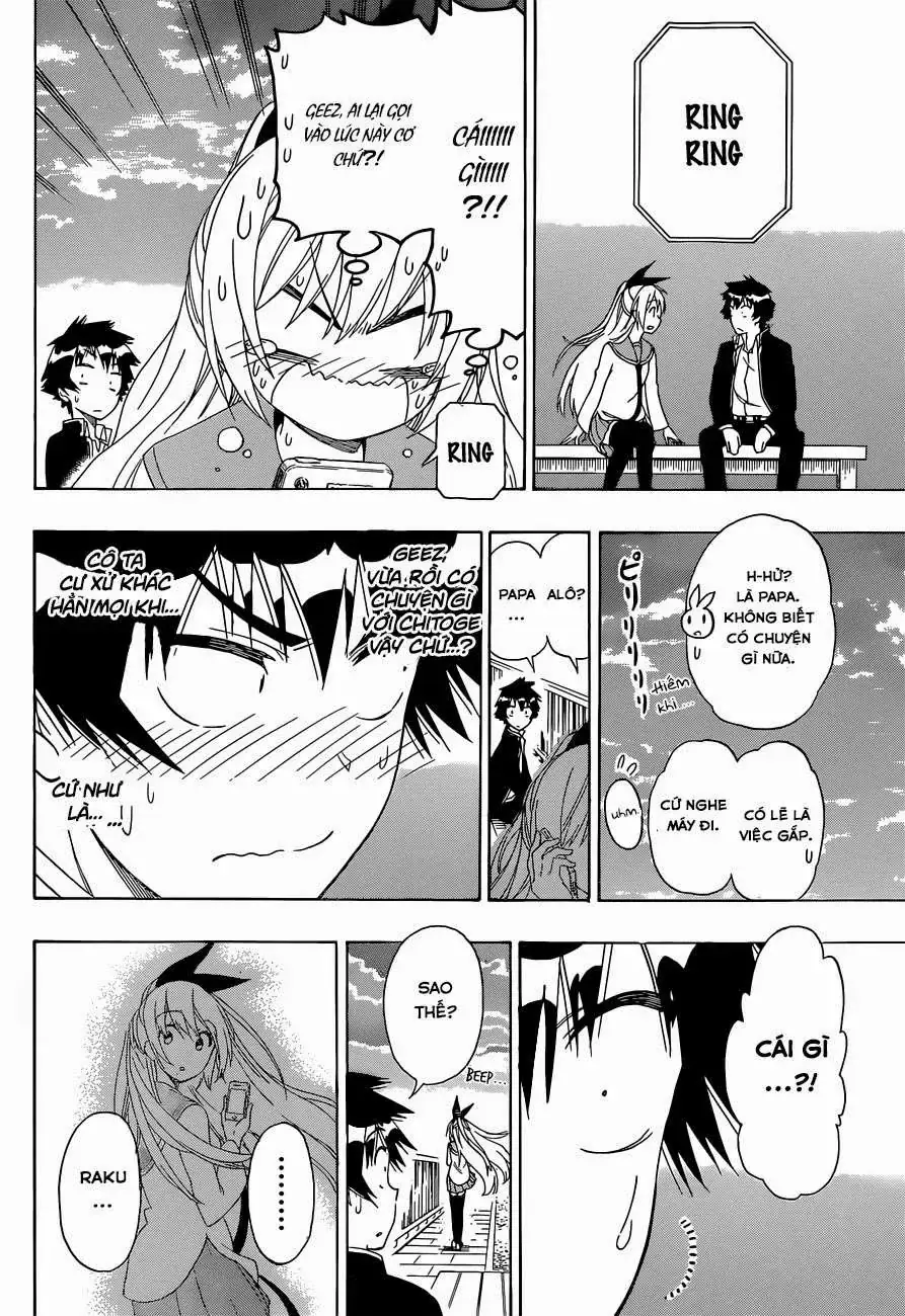 Nisekoi Chapter 156 - Trang 20