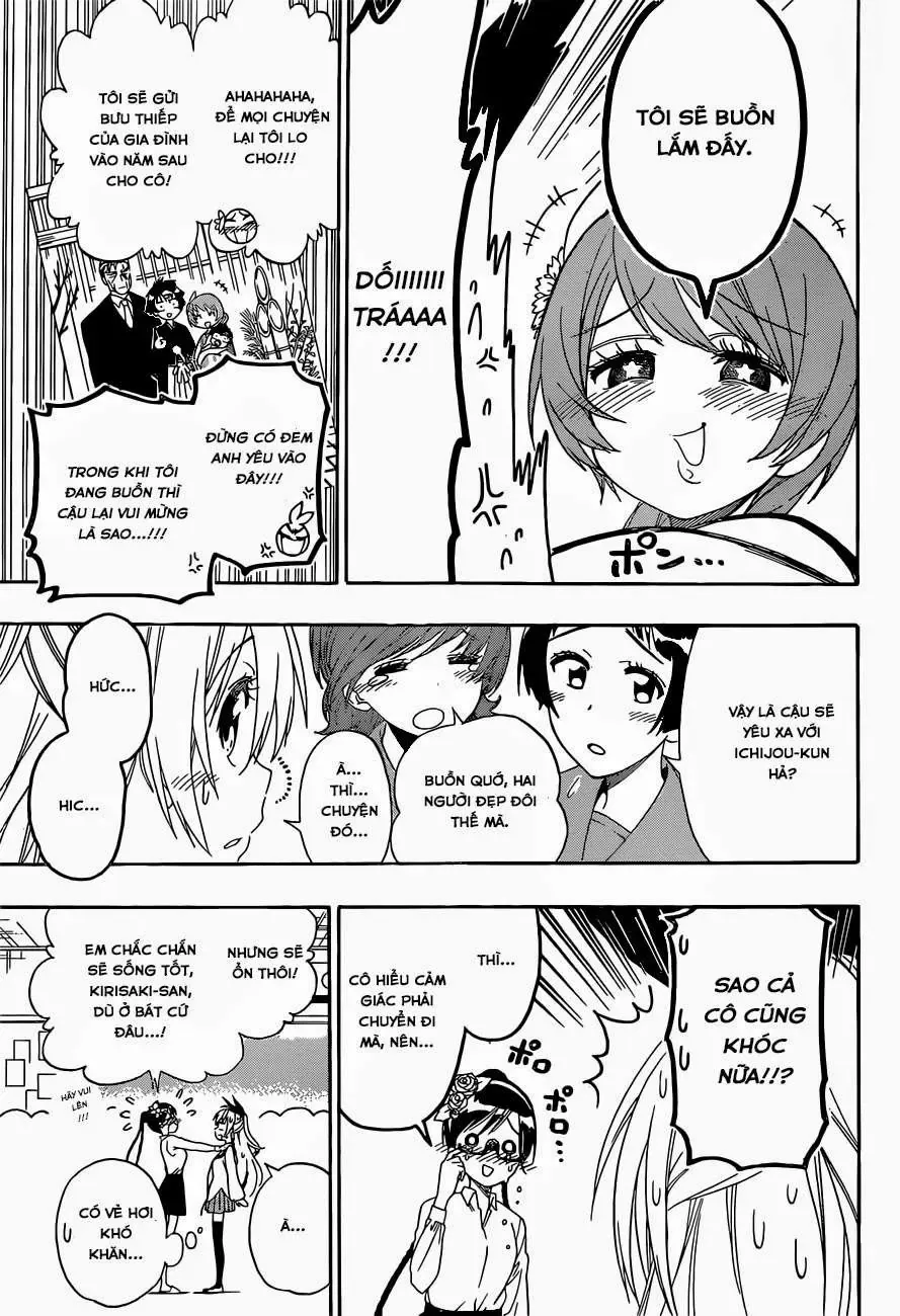 Nisekoi Chapter 157 - Trang 11