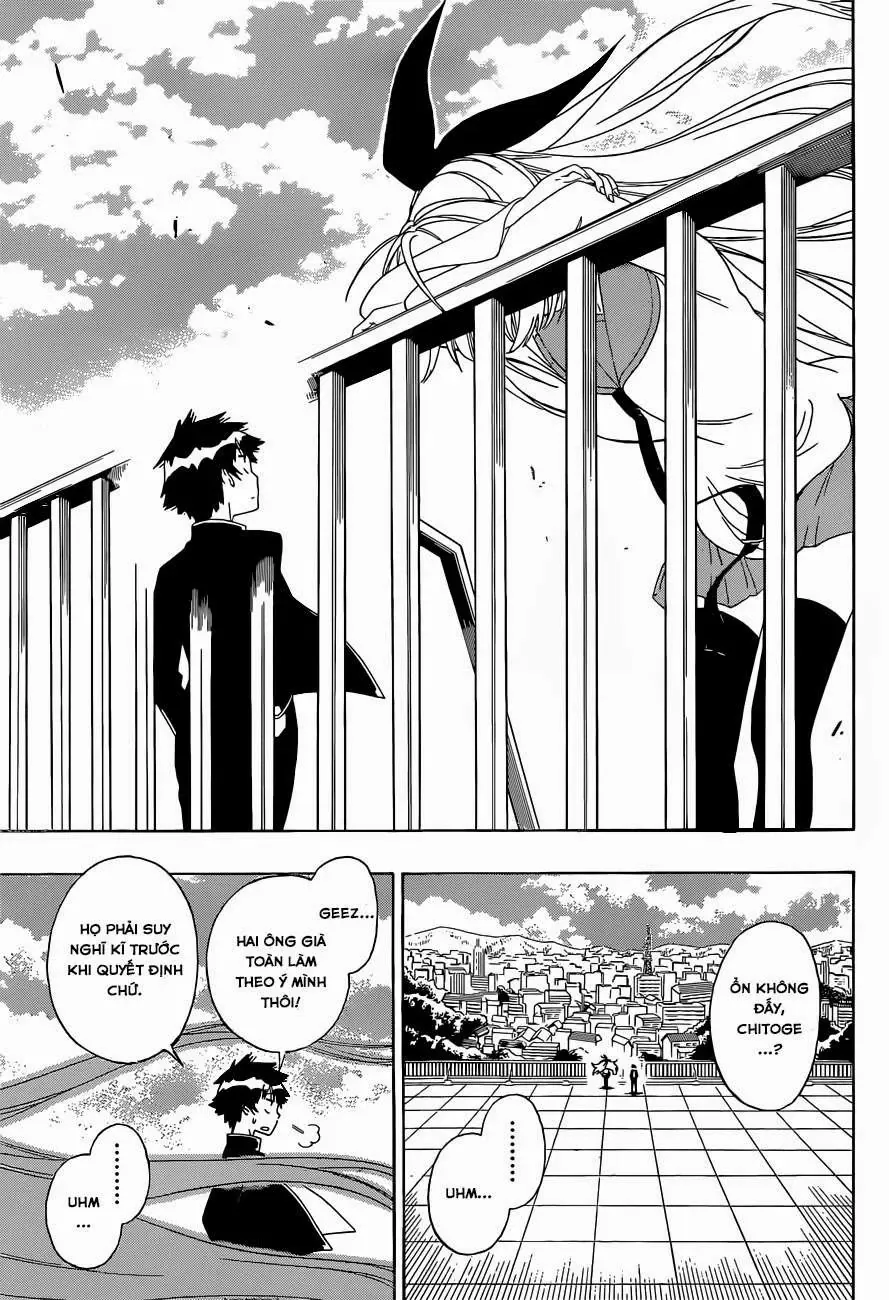 Nisekoi Chapter 157 - Trang 13