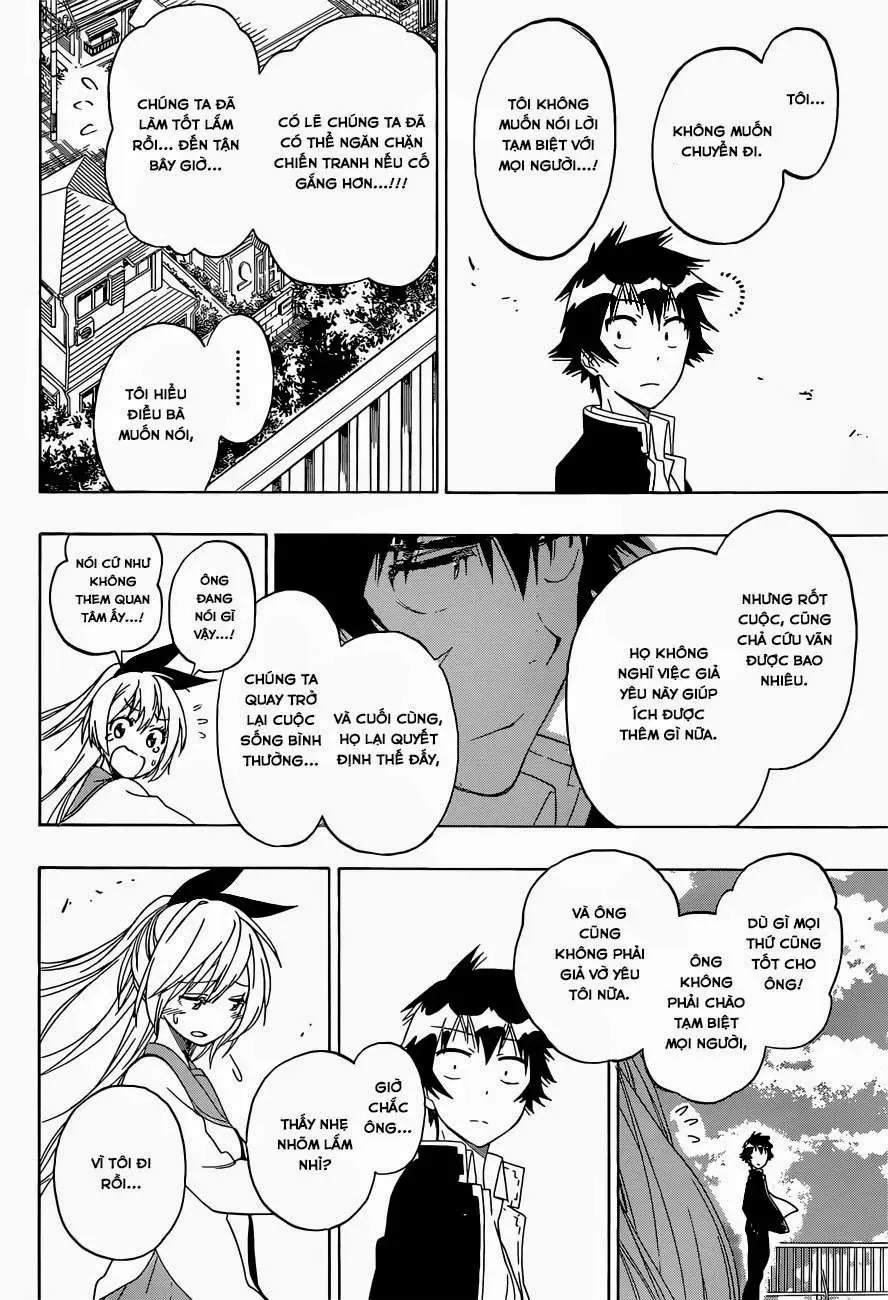 Nisekoi Chapter 157 - Trang 14