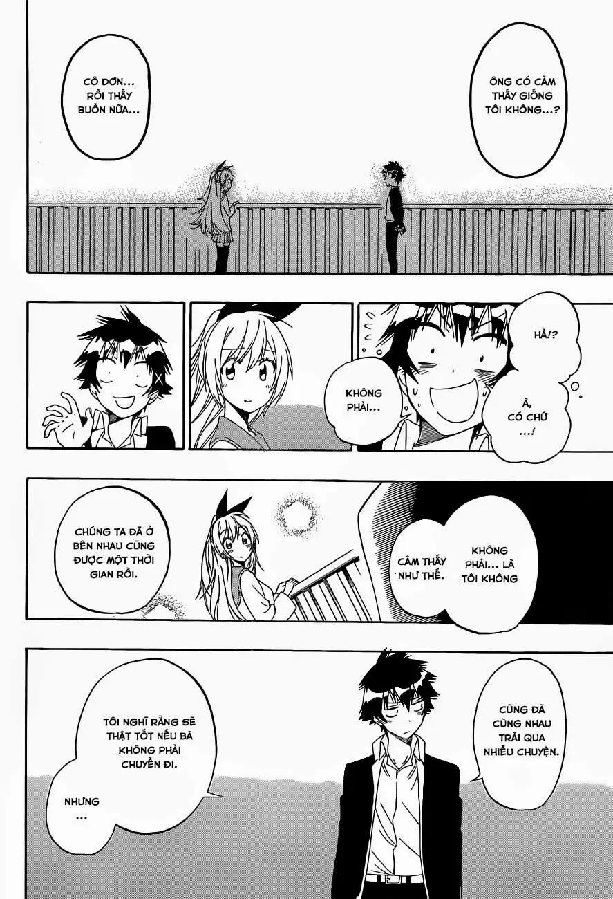 Nisekoi Chapter 157 - Trang 16