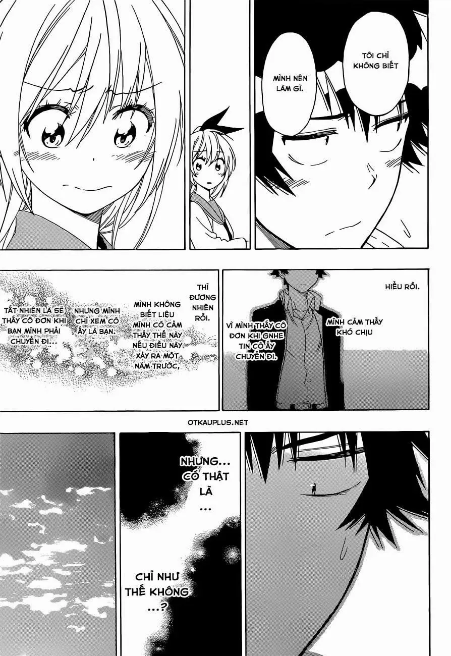 Nisekoi Chapter 157 - Trang 17