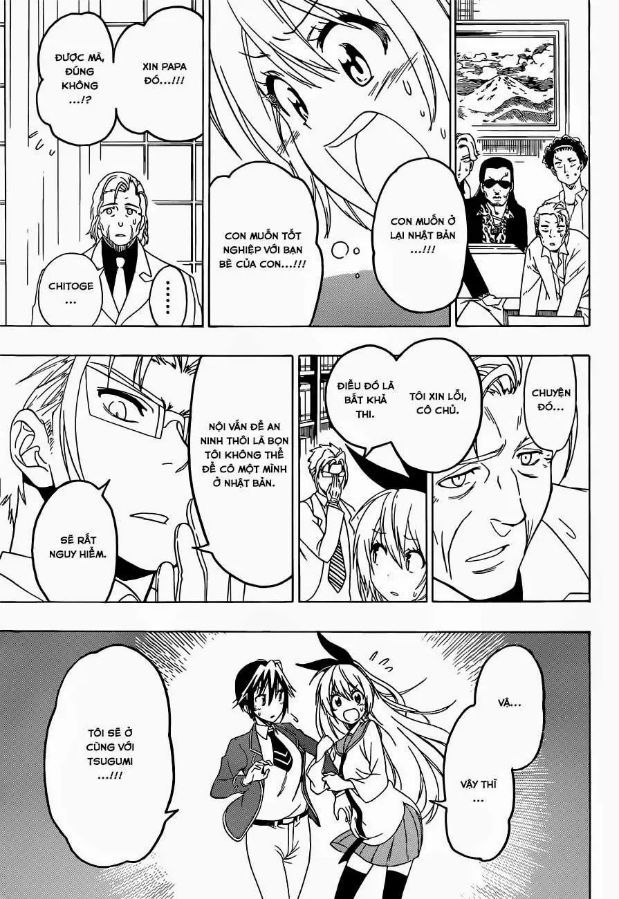 Nisekoi Chapter 157 - Trang 19