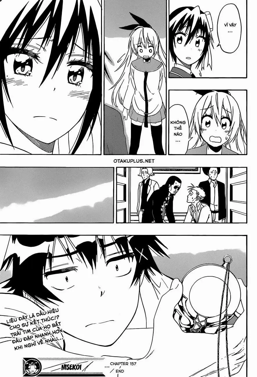 Nisekoi Chapter 157 - Trang 21