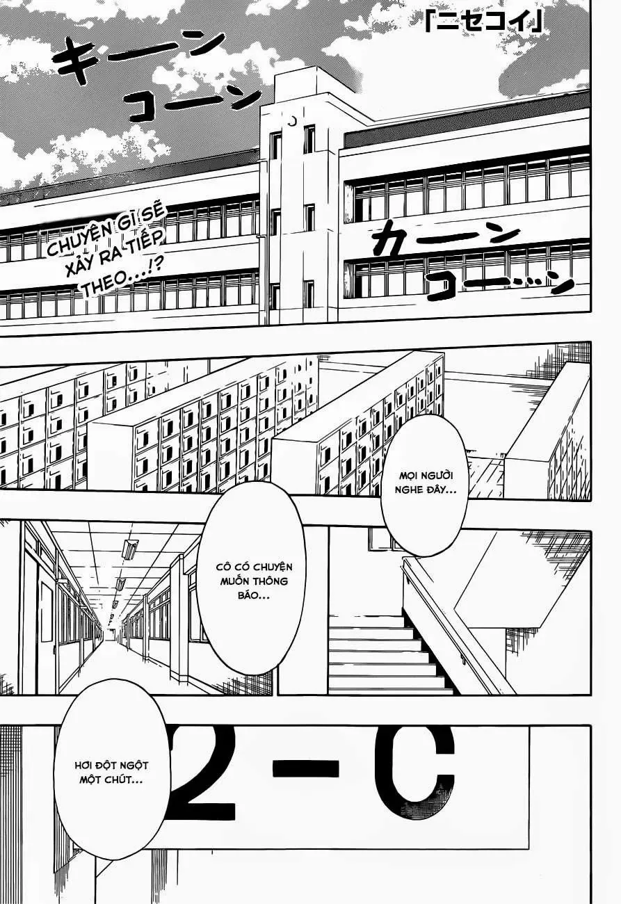 Nisekoi Chapter 157 - Trang 3