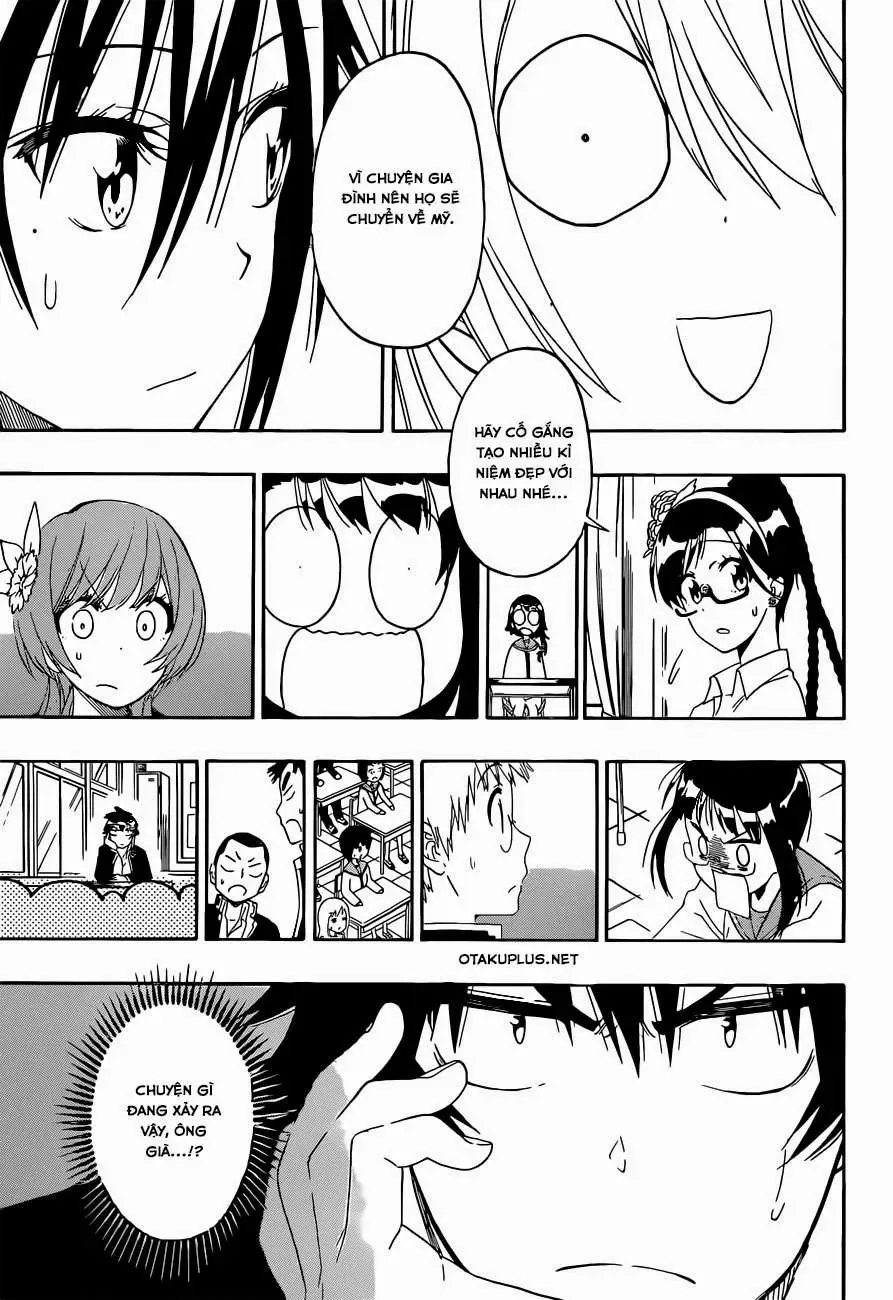 Nisekoi Chapter 157 - Trang 5