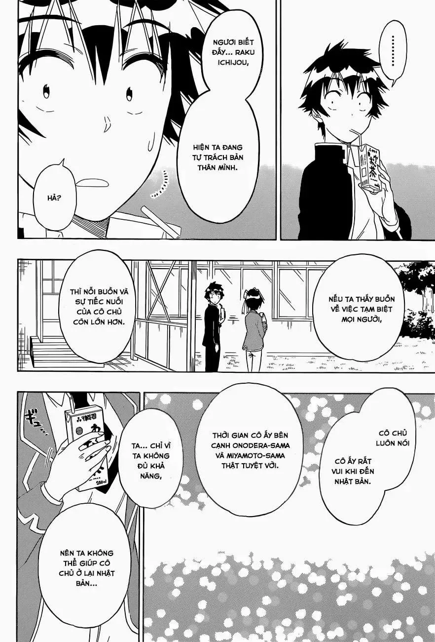 Nisekoi Chapter 158 - Trang 11