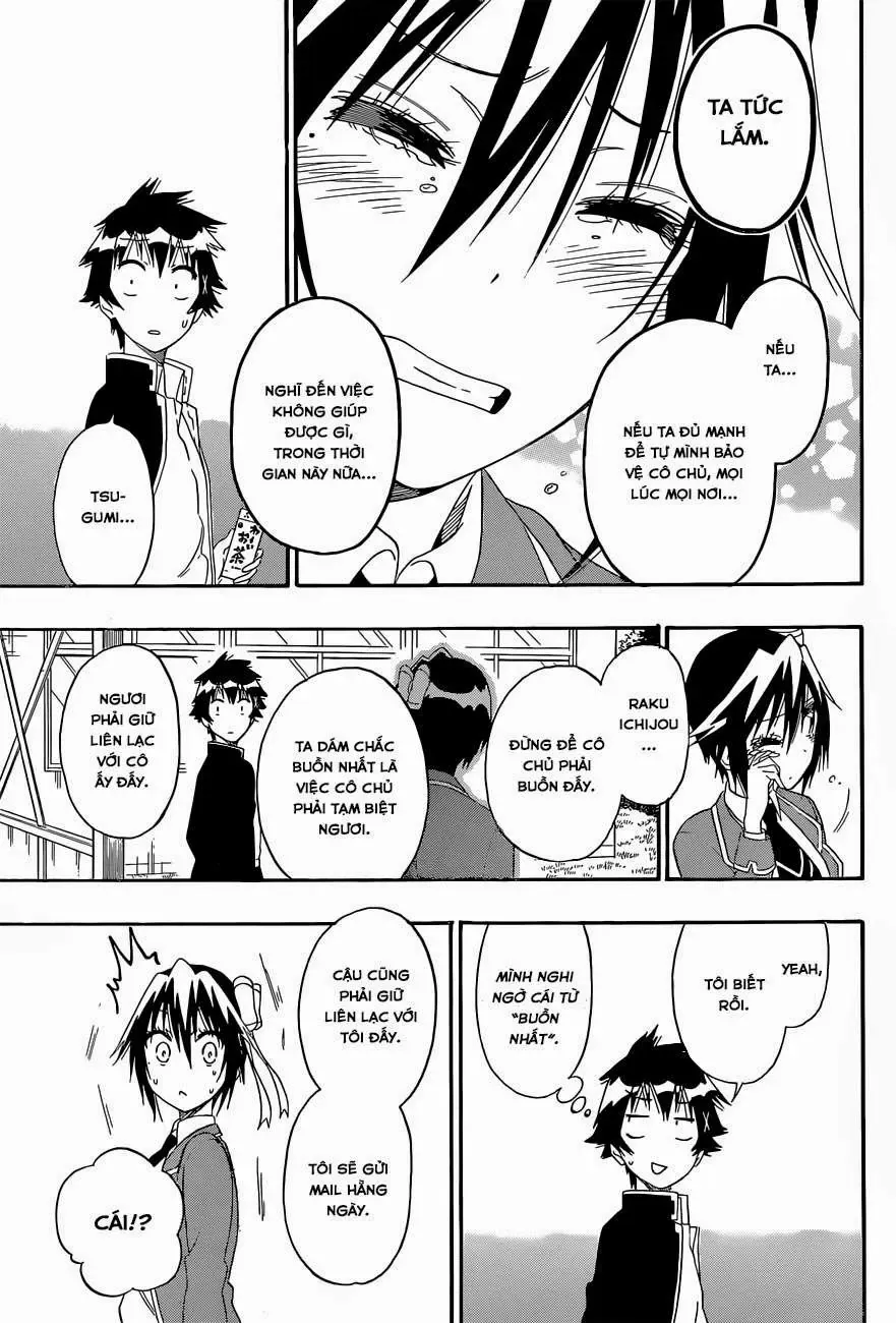 Nisekoi Chapter 158 - Trang 12