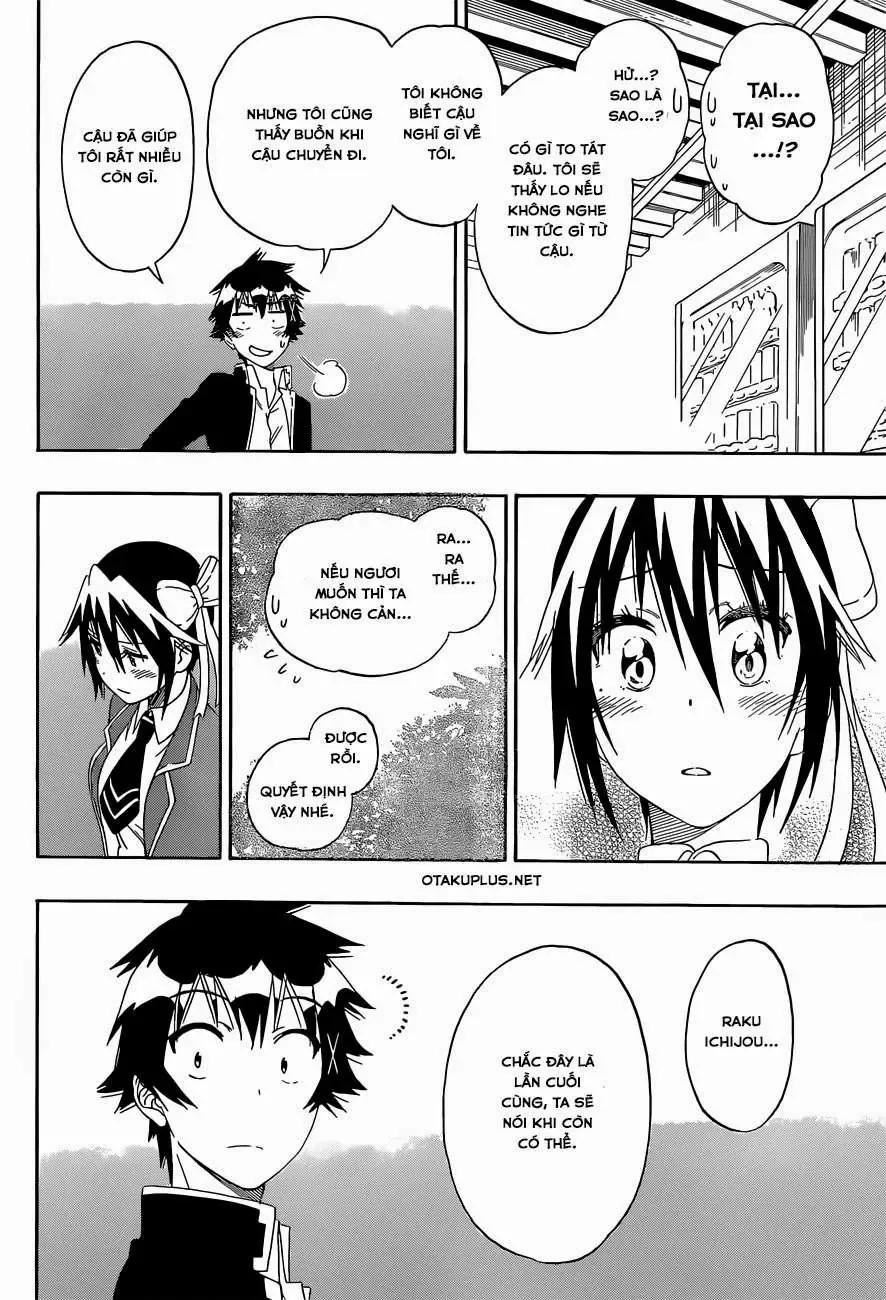 Nisekoi Chapter 158 - Trang 13