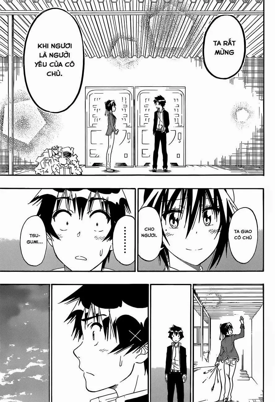 Nisekoi Chapter 158 - Trang 14