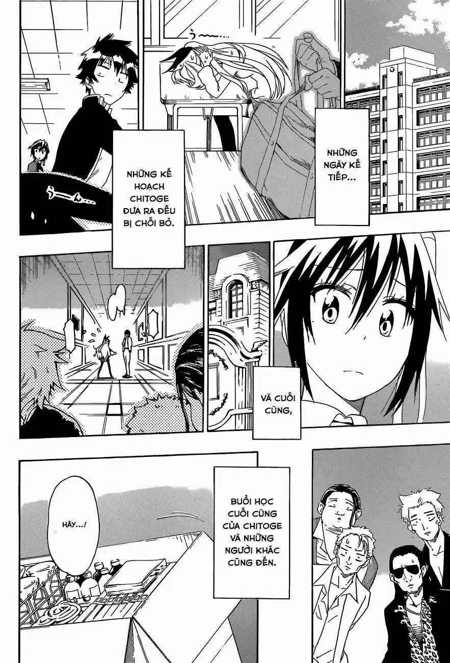 Nisekoi Chapter 158 - Trang 19