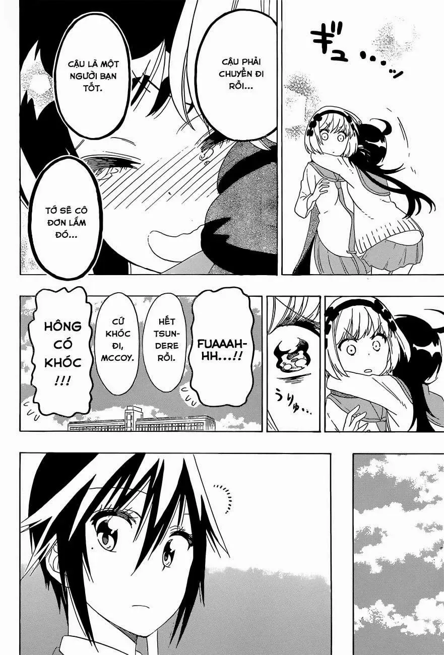 Nisekoi Chapter 158 - Trang 7
