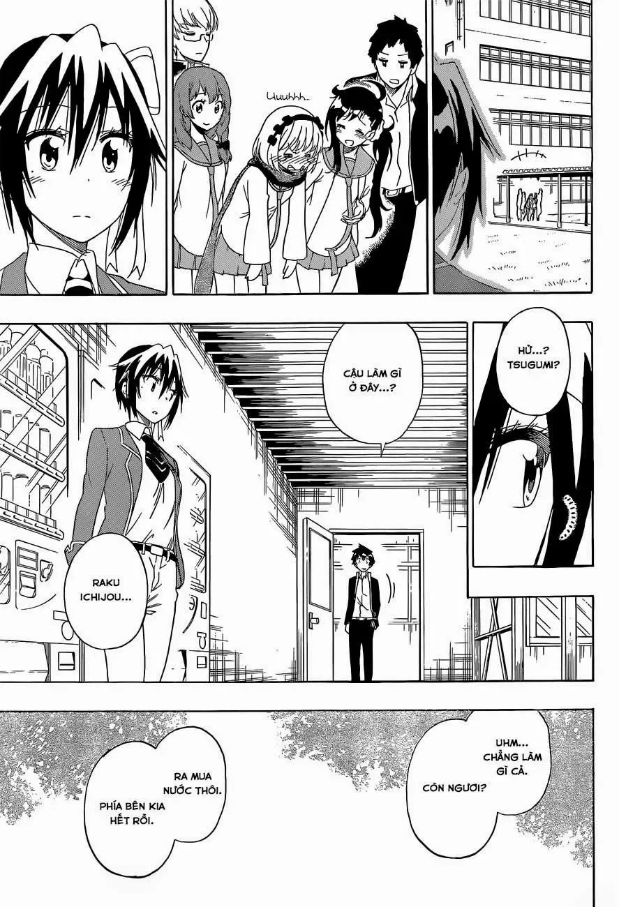 Nisekoi Chapter 158 - Trang 8