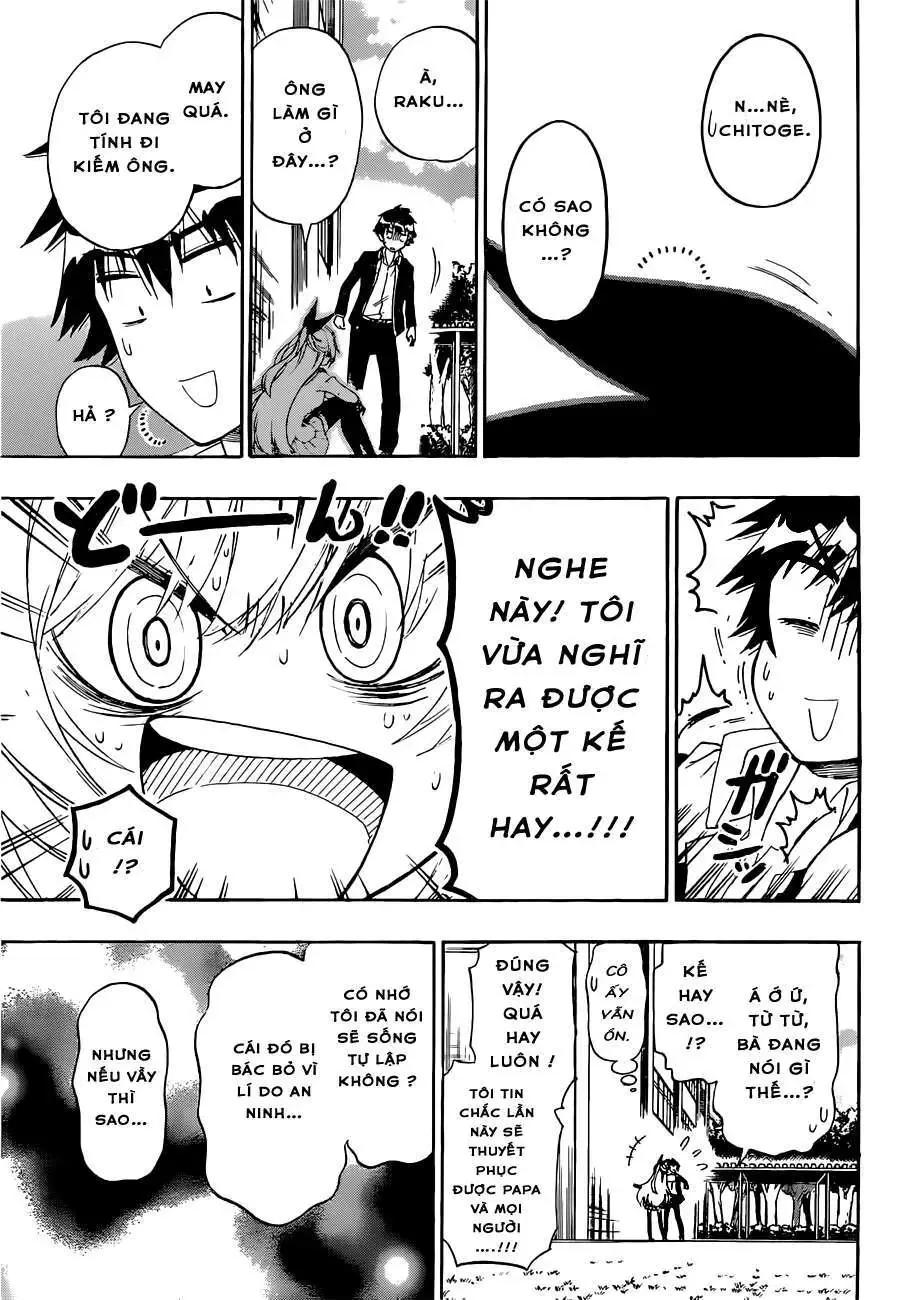 Nisekoi Chapter 159 - Trang 13