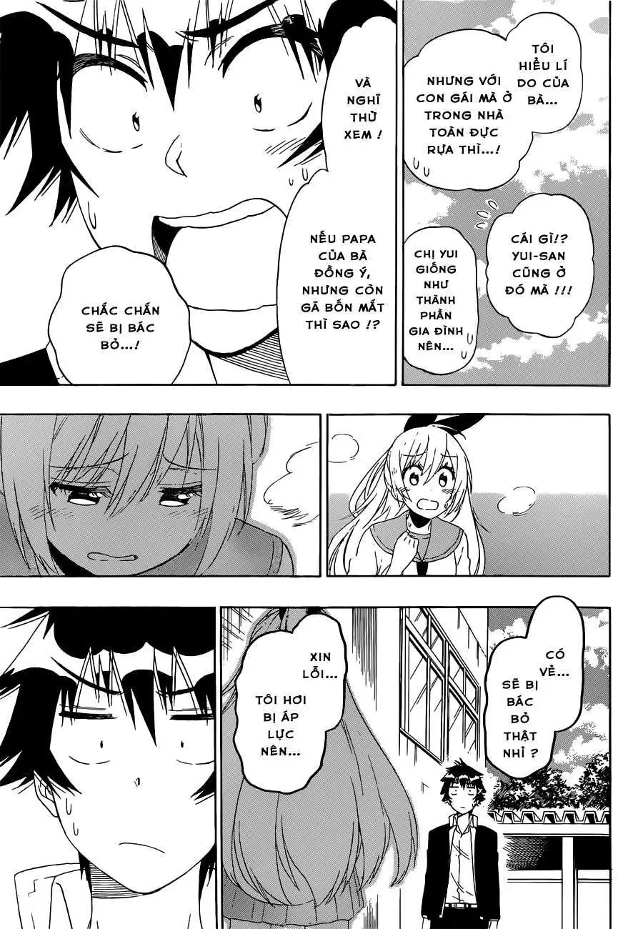 Nisekoi Chapter 159 - Trang 15