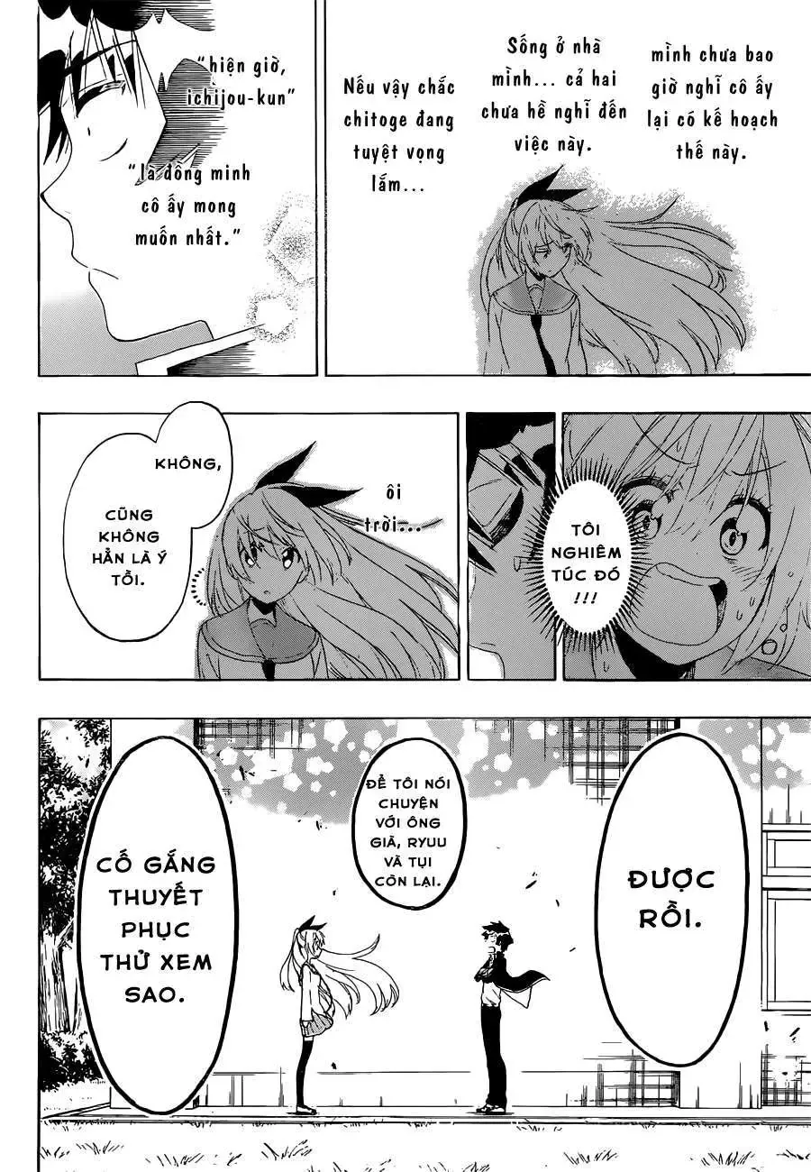 Nisekoi Chapter 159 - Trang 16