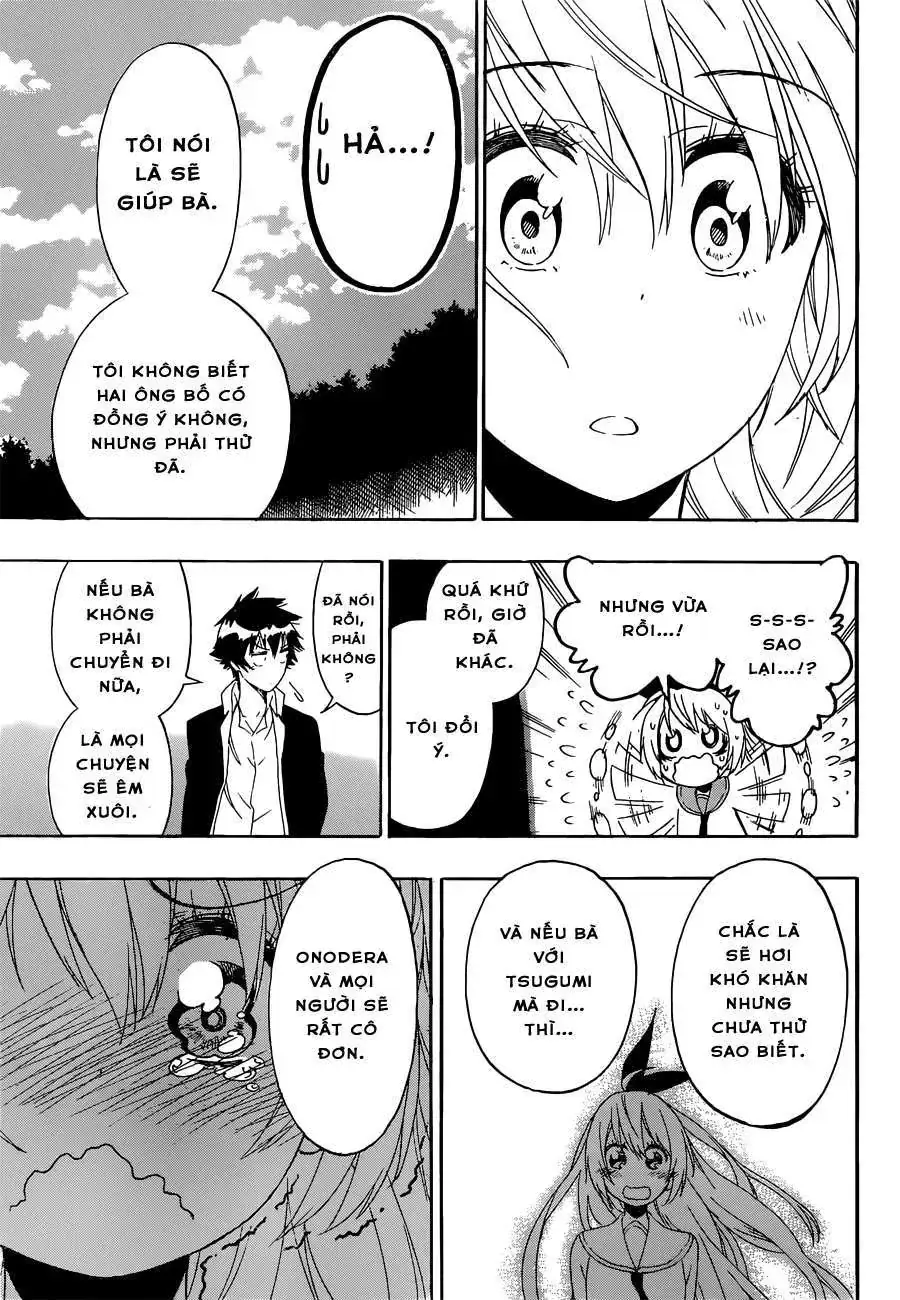 Nisekoi Chapter 159 - Trang 17