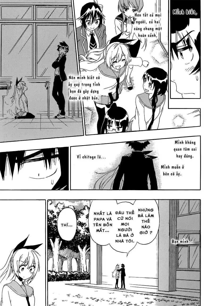 Nisekoi Chapter 159 - Trang 19