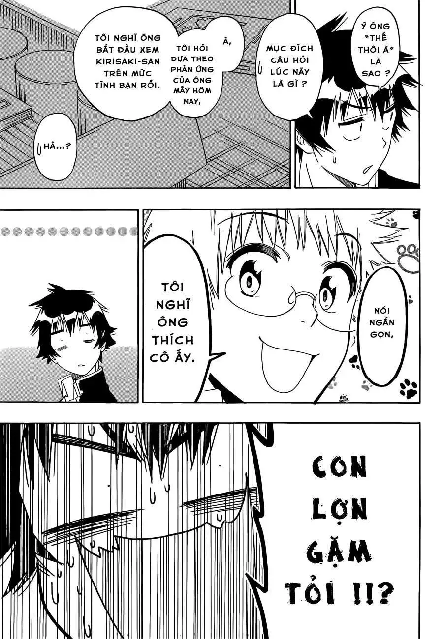 Nisekoi Chapter 159 - Trang 5