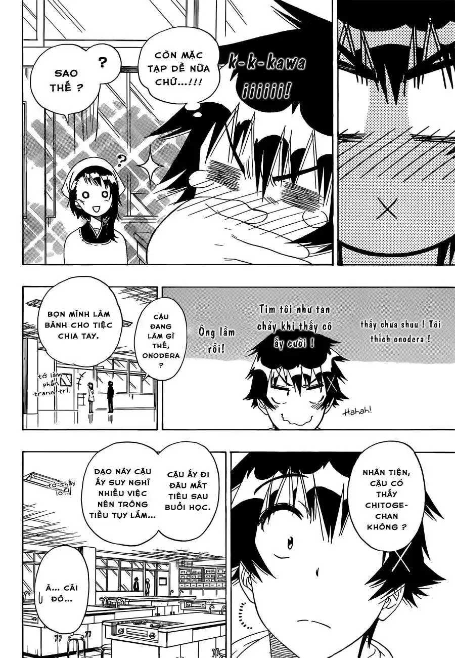 Nisekoi Chapter 159 - Trang 8