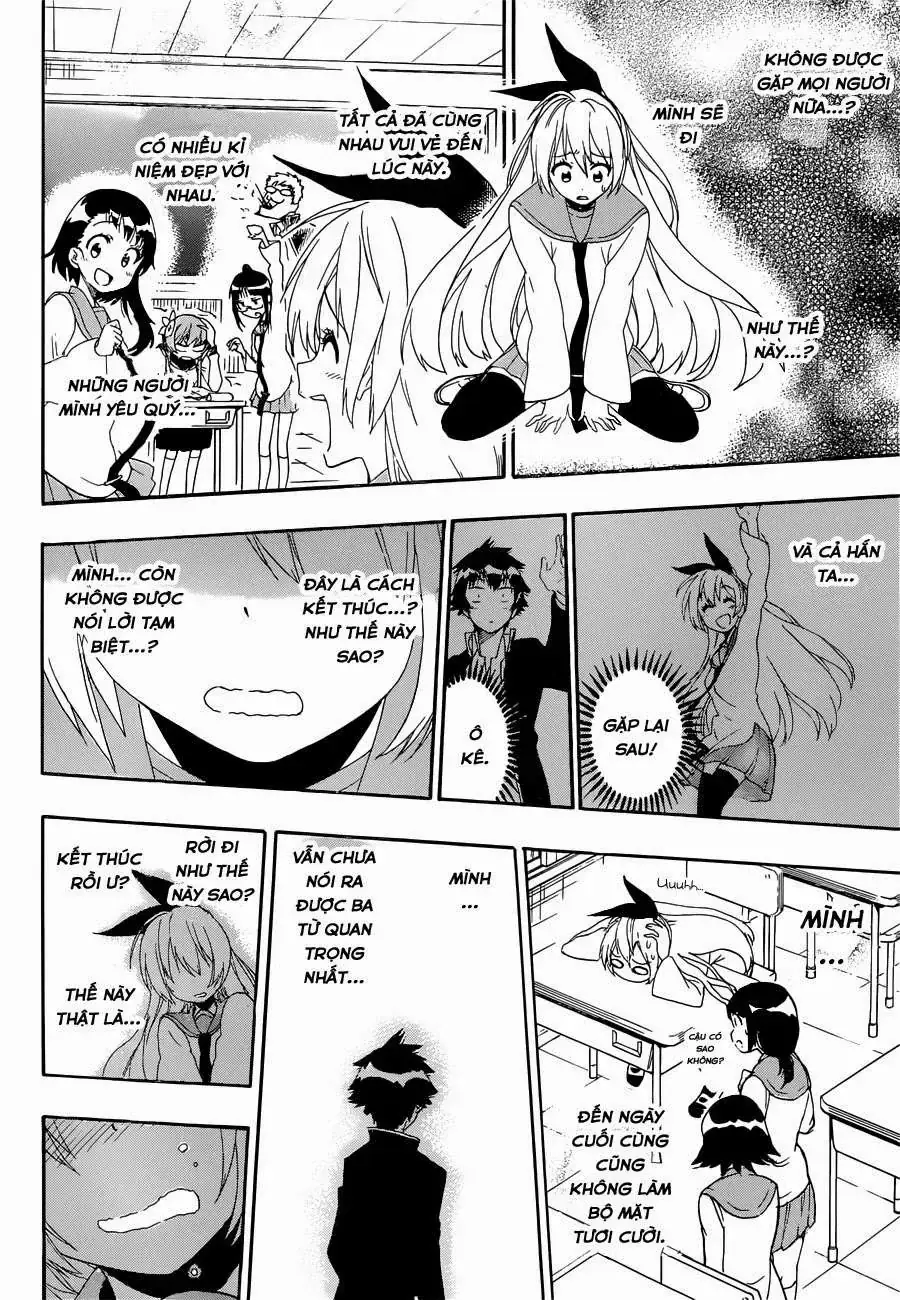 Nisekoi Chapter 160 - Trang 18