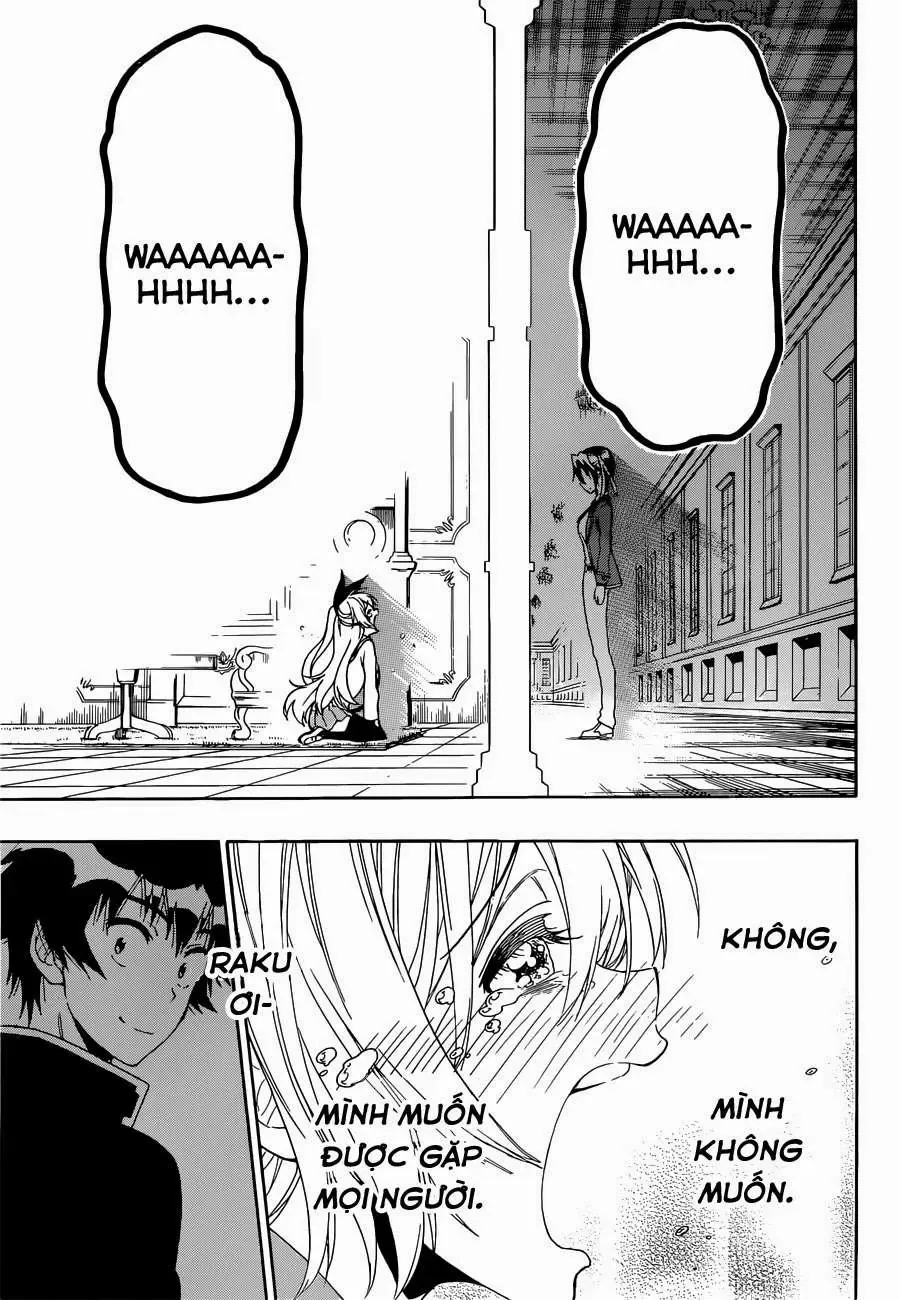 Nisekoi Chapter 160 - Trang 19