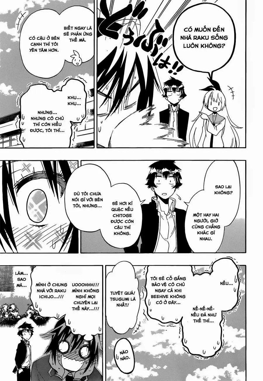 Nisekoi Chapter 160 - Trang 5