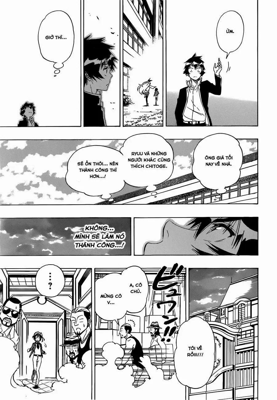 Nisekoi Chapter 160 - Trang 7