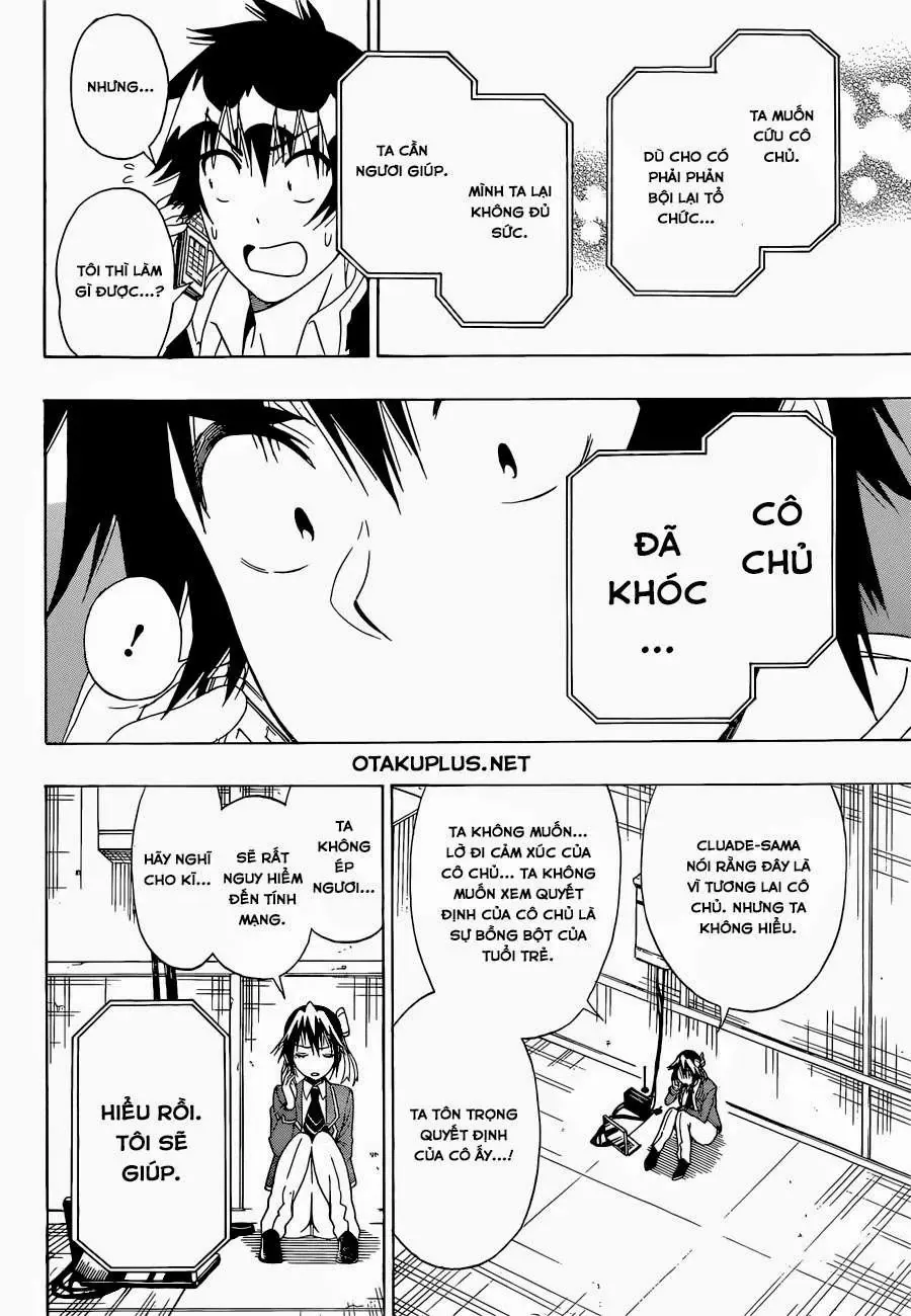 Nisekoi Chapter 161 - Trang 4