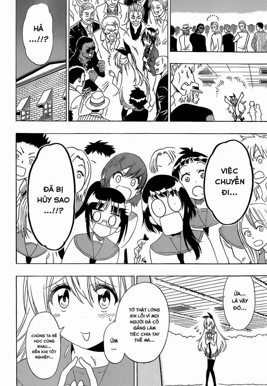 Nisekoi Chapter 162 - Trang 13