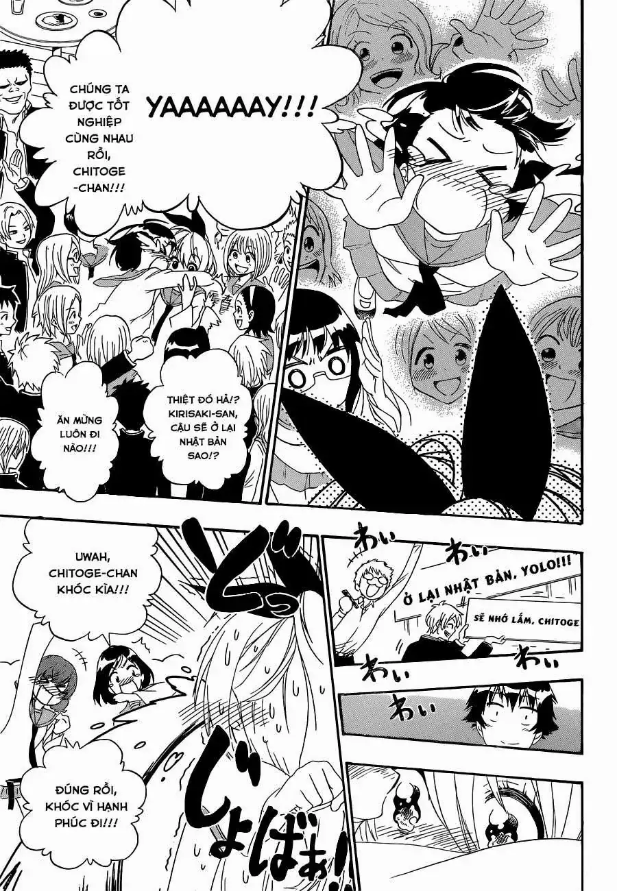 Nisekoi Chapter 162 - Trang 14