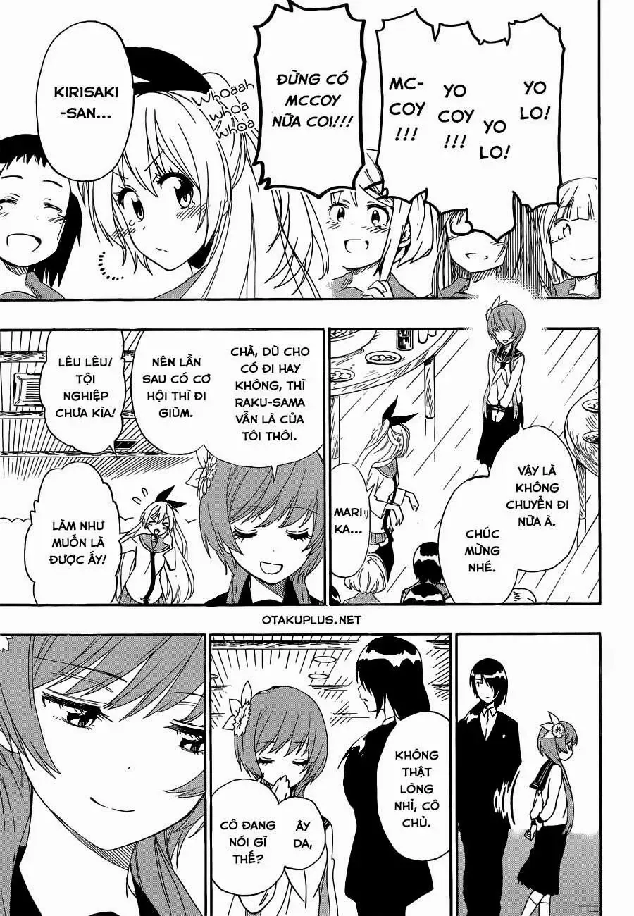Nisekoi Chapter 162 - Trang 16