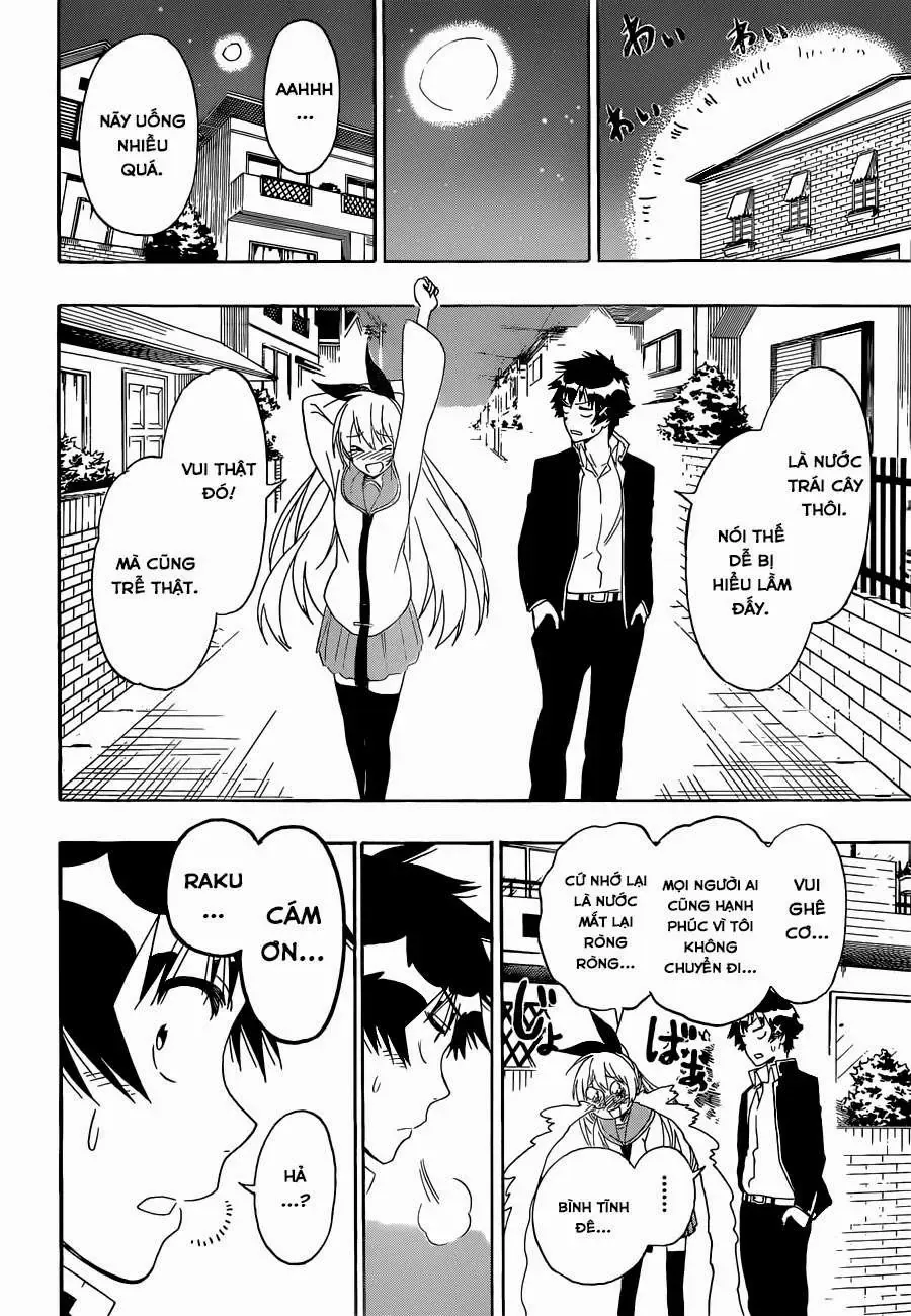 Nisekoi Chapter 162 - Trang 17
