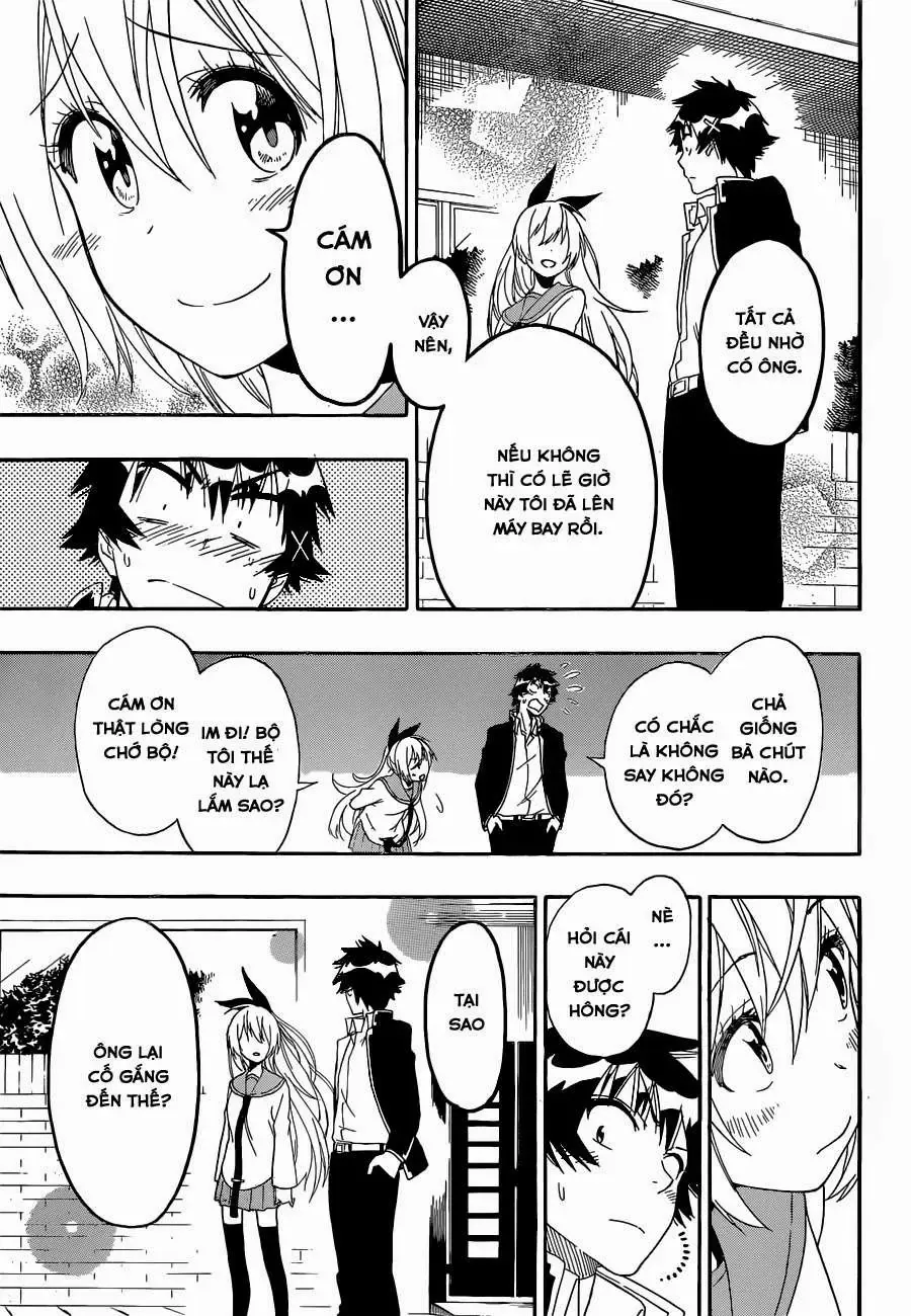 Nisekoi Chapter 162 - Trang 18