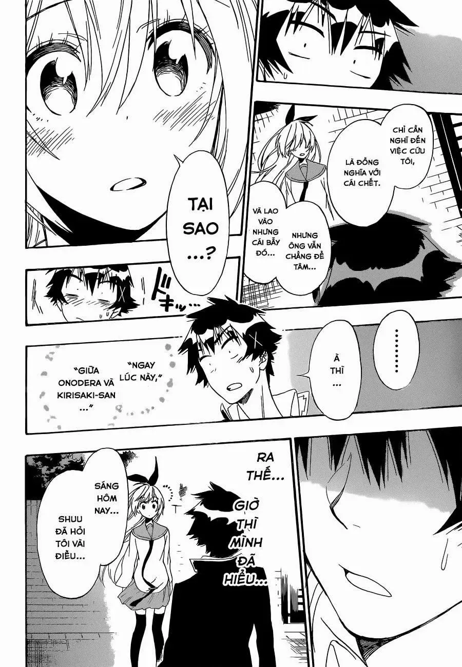 Nisekoi Chapter 162 - Trang 19