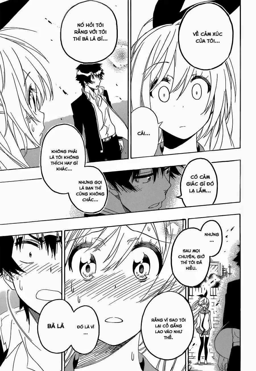 Nisekoi Chapter 162 - Trang 20
