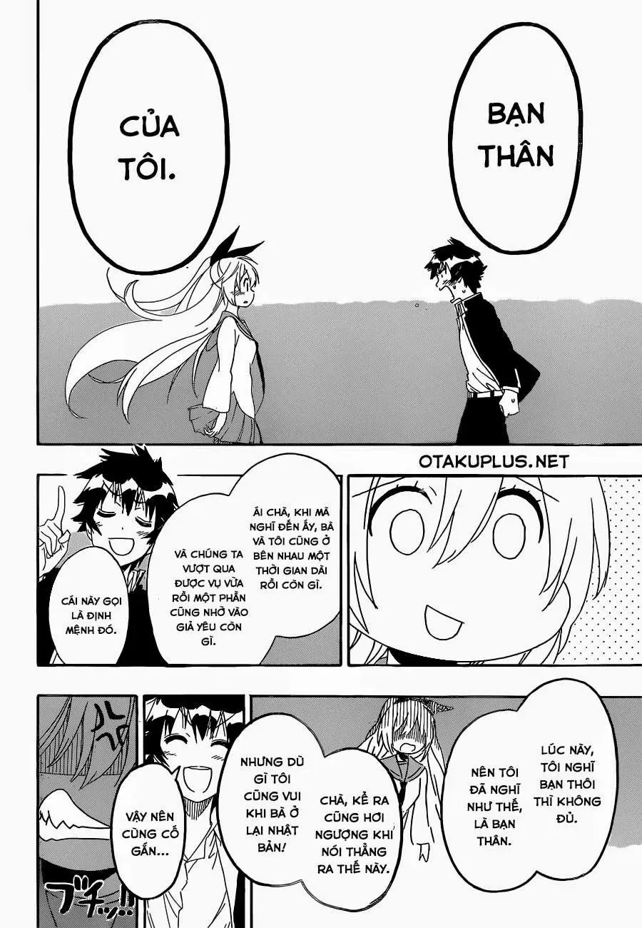 Nisekoi Chapter 162 - Trang 21