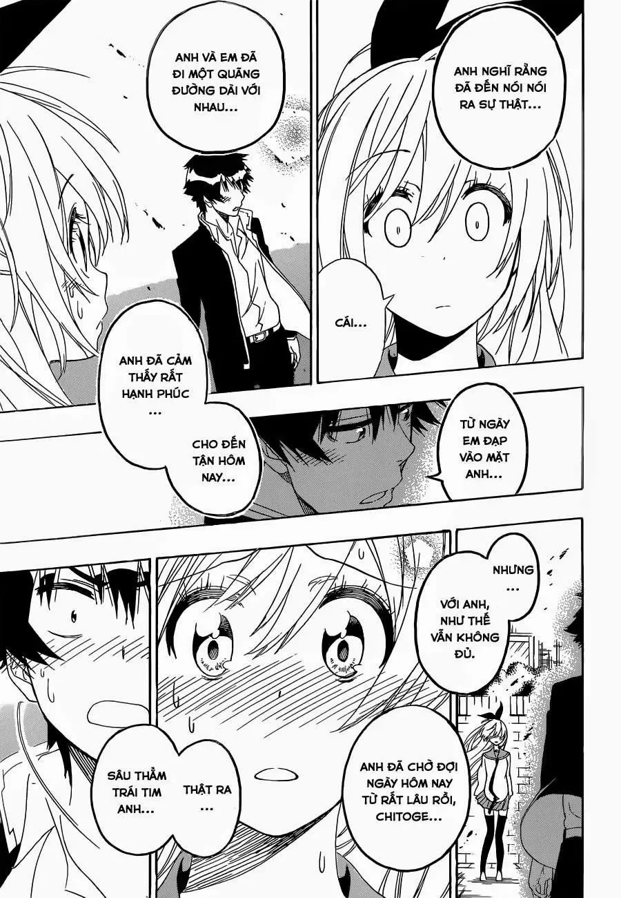 Nisekoi Chapter 162 - Trang 24