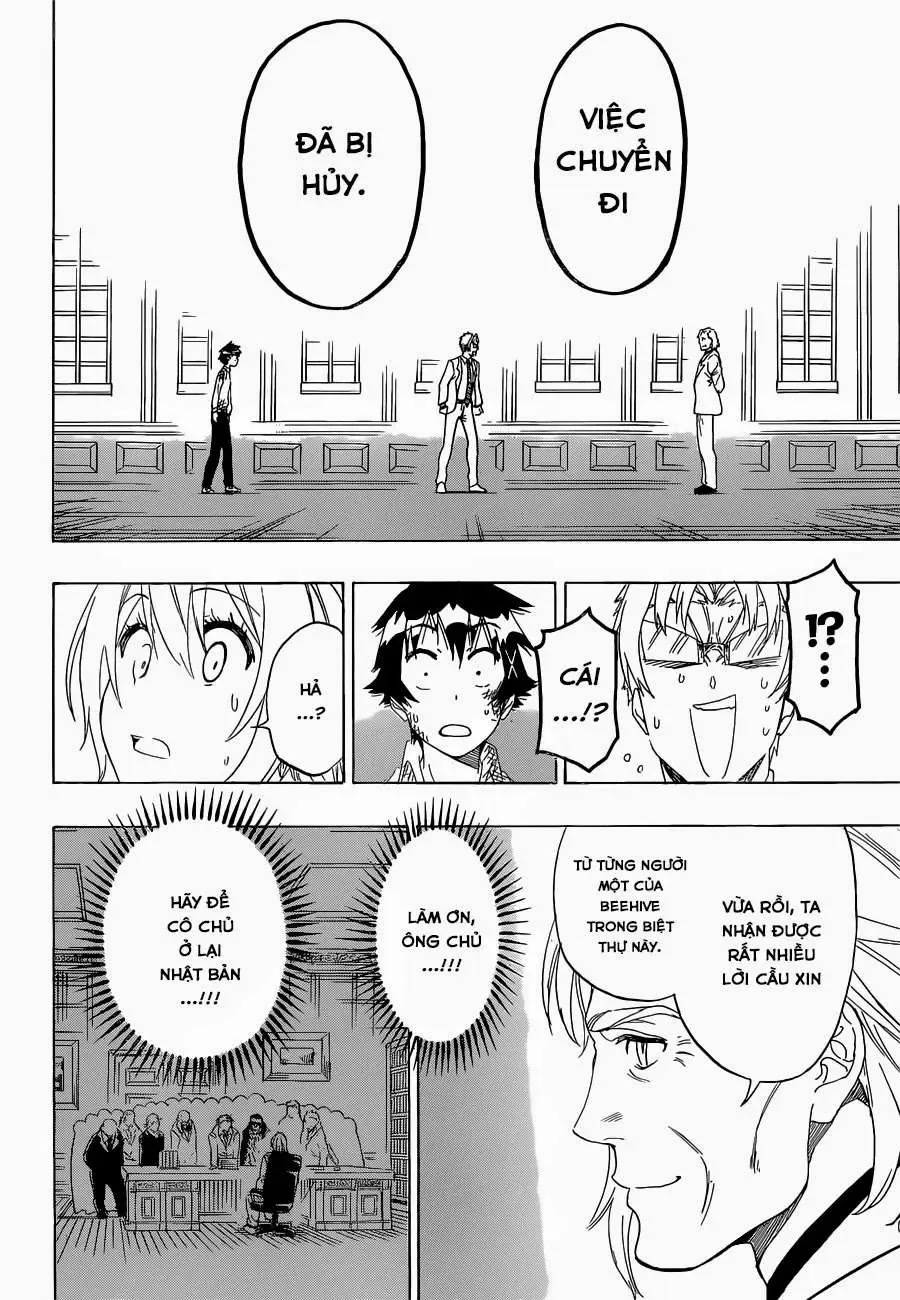 Nisekoi Chapter 162 - Trang 7
