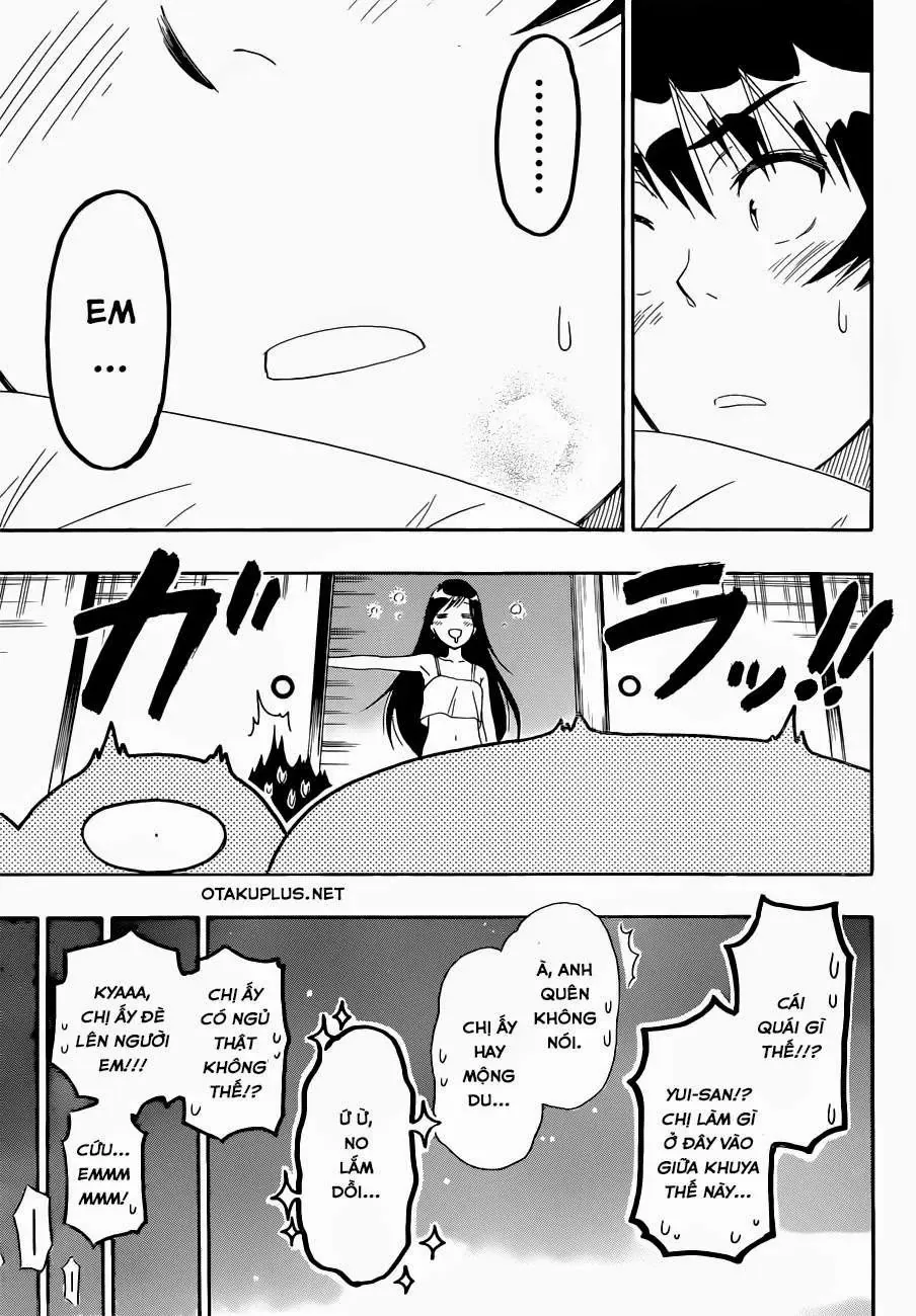 Nisekoi Chapter 163 - Trang 14