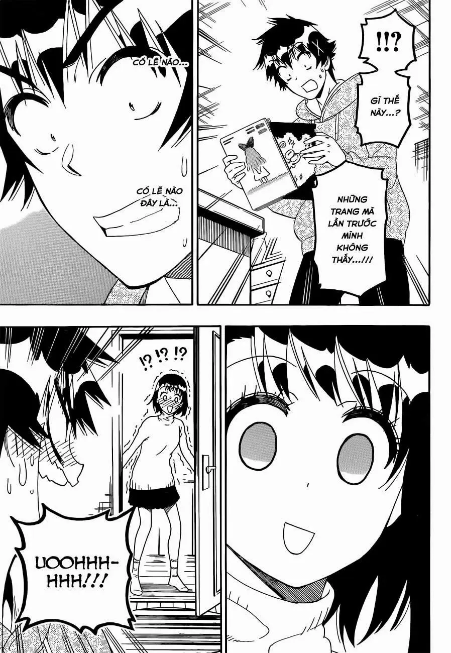 Nisekoi Chapter 164 - Trang 15