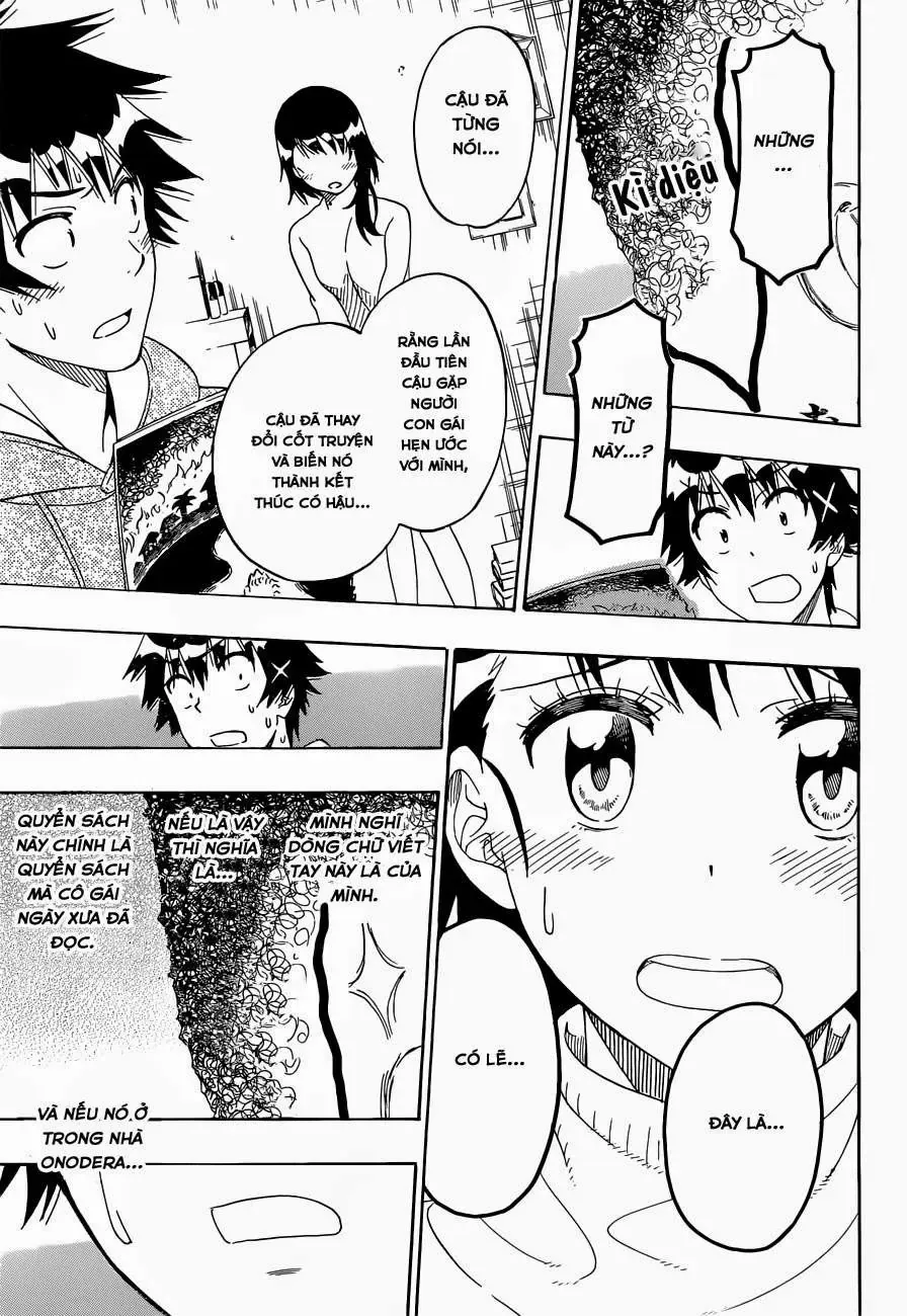 Nisekoi Chapter 164 - Trang 19
