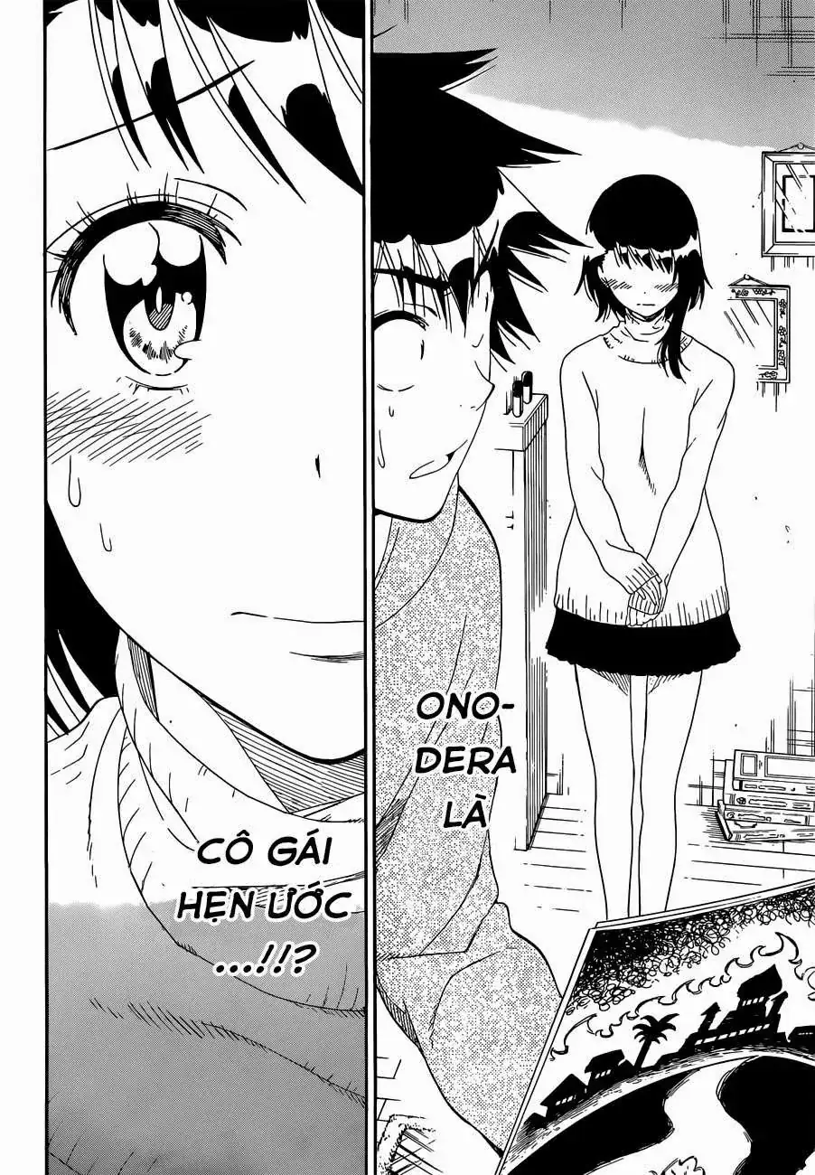 Nisekoi Chapter 164 - Trang 20